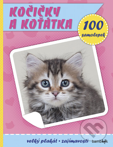 Levně Kočičky a koťátka (Plakát a 100 samolepek) - kniha z kategorie Hravé úlohy