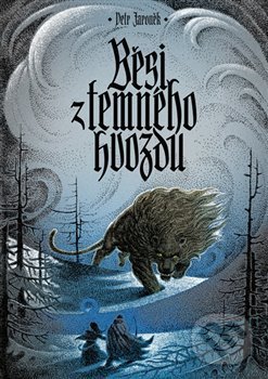 Levně Běsi z temného hvozdu - Petr Jaroněk - kniha z kategorie Fantasy