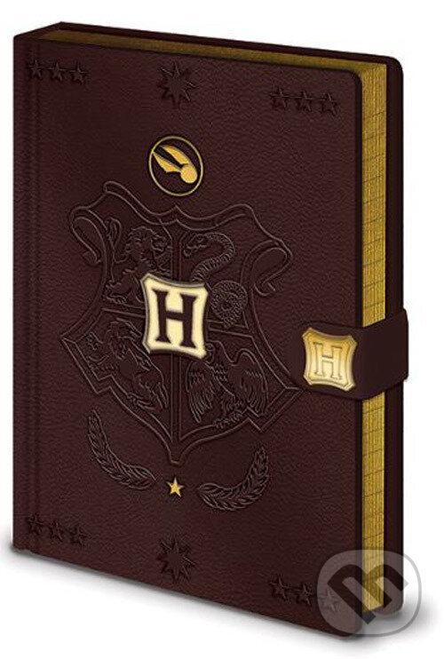 Levně Poznámkový A5 blok Harry Potter: Quidditch (linkovaný zápisník)