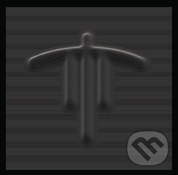 Levně Stroon: Songs Of Concealed Amplitude LP - Stroon