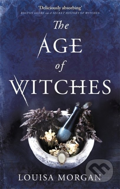 Levně The Age of Witches - Louisa Morgan - kniha z kategorie Fantasy