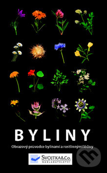 Kniha: Byliny (Svojtka&Co.). Svojtka&Co., 2009