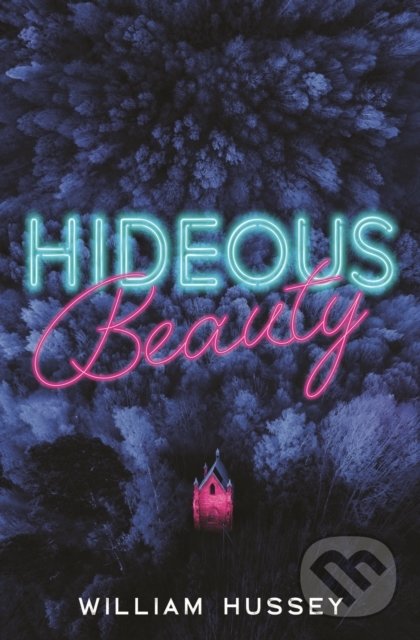 Levně Hideous Beauty - William Hussey - kniha z kategorie Beletria