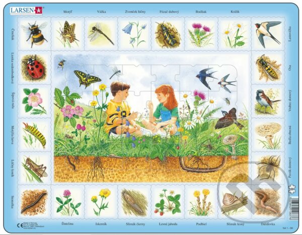 Levně Pole NA1 - puzzle z kategorie Náučné puzzle