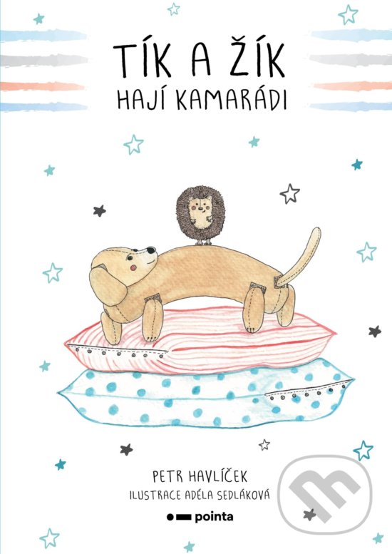 Levně Tík a Žík, hají kamarádi - Petr Havlíček, Adéla Sedláková (ilustrátor) - kniha z kategorie Beletria
