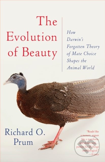Levně Evolution of Beauty (How Darwin's Forgotten Theory of Mate Choice Shapes the Animal World - and Us) - kniha z kategorie Prírodné vedy a technika
