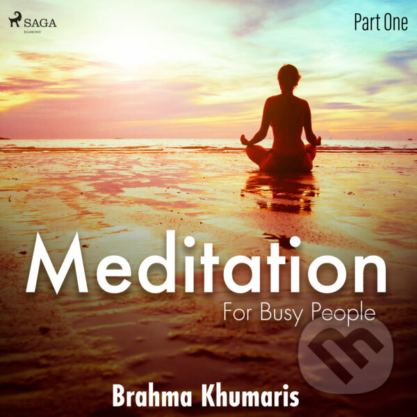 Kniha Meditation for Busy People - Part One (EN)