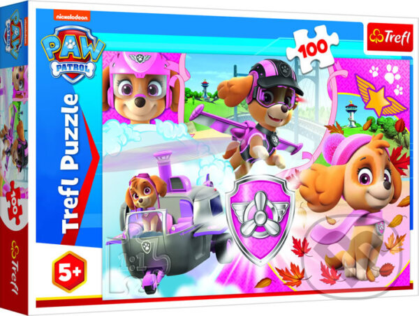 Levně Tlapková Patrola: Skye v akci - puzzle z kategorie 60 – 300 dielikov