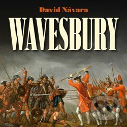 Levně Wavesbury - David Návara - audiokniha z kategorie História