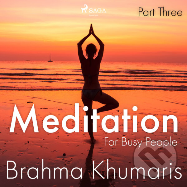 Kniha Meditation For Busy People – Part Three (EN)