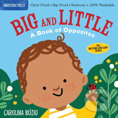 Levně Big and Little (A Book of Opposites) - Carolina Búzio (Ilustrátor), Amy Pixton - kniha z kategorie Pre deti a mládež