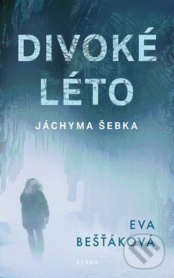 Levně Divoké léto Jáchyma Šebka - Eva Bešťáková - kniha z kategorie Beletria