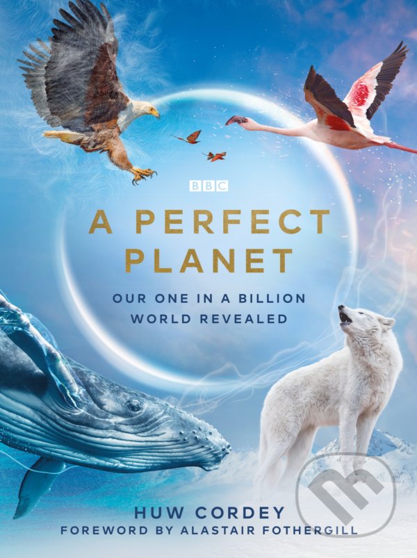 Levně A Perfect Planet - Huw Cordey - kniha z kategorie Prírodné vedy a technika