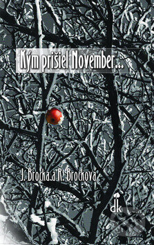 Kniha Kým prišiel November...