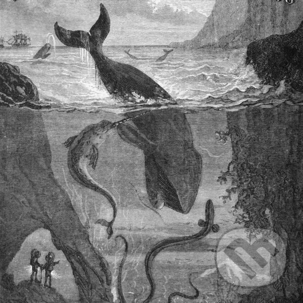 Audiokniha: Dvacet tisíc mil pod mořem (Jules Verne). Český rozhlas, 2014