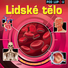 Kniha: Lidské tělo (Autorský kolektív). Rebo, 2010