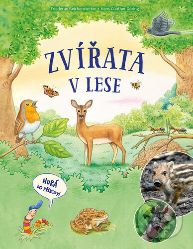 Levně Zvířata v lese - Friederun Reichenstetter, Hans-Günther Döring (ilustrátor) - kniha z kategorie Beletria