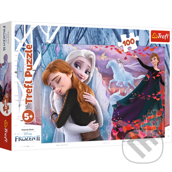 Levně Ledové království: Navždy spolu - puzzle z kategorie 60 – 300 dielikov