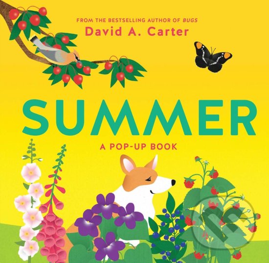 Levně Summer (A Pop-Up Book) - David Carter - kniha z kategorie Pre deti a mládež