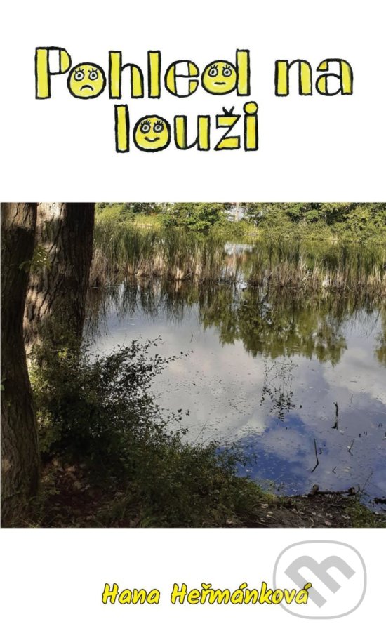 Levně Pohled na louži - Hana Hermánková - kniha z kategorie Beletria