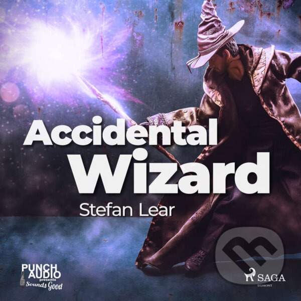 Kniha Accidental Wizard (EN)