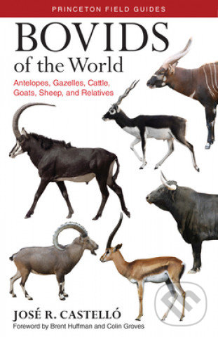 Kniha Bovids of the World
