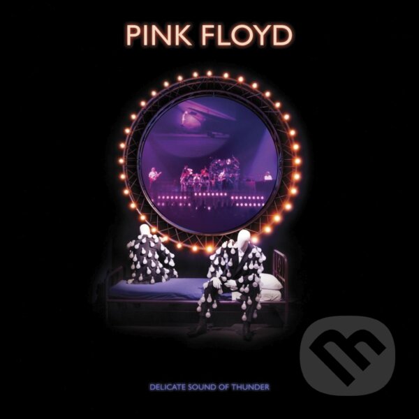 Hudební CD: Pink Floyd: Delicate Sound Of Thunder - Reedice 2020 (Hudobné albumy)