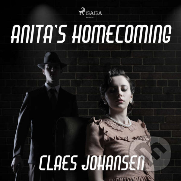 Kniha Anita’s Homecoming (EN)