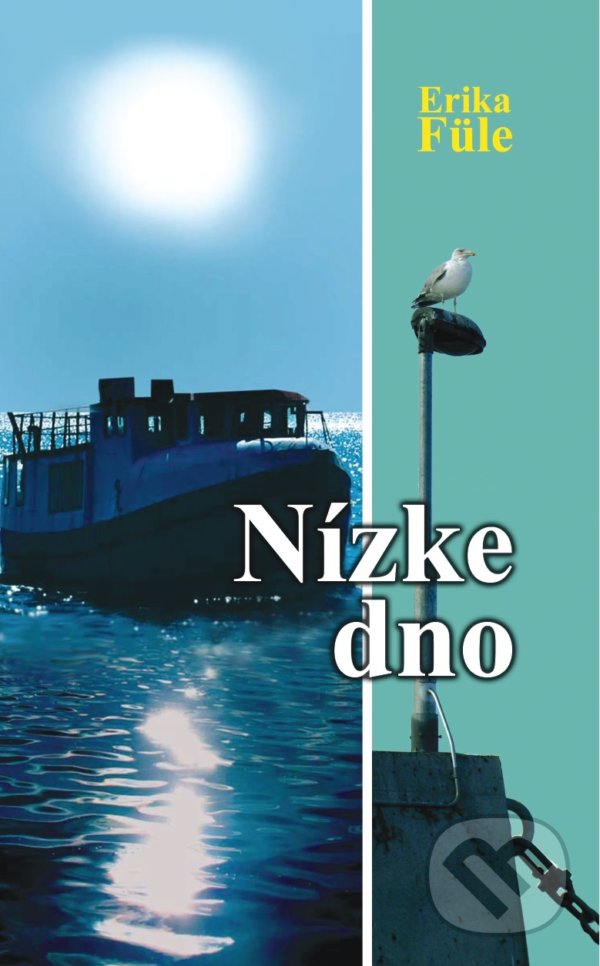 Levně Nízke dno - Erika Füle - kniha z kategorie Spoločenská beletria
