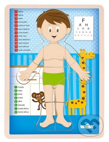 Levně Woody Puzzle Lidské tělo (Kluk, v českém jazyce) - puzzle z kategorie Náučné puzzle
