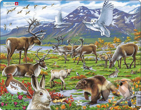 Puzzle: Arctic Inland FH14 (Larsen). Larsen