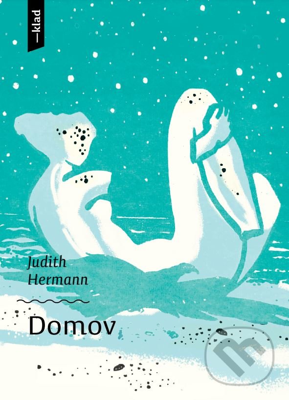 Levně Domov - Judith Hermann, Ľubomír Kellenberger (ilustrátor) - kniha z kategorie Spoločenská beletria