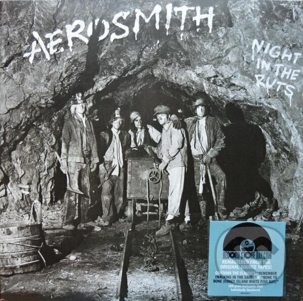 Aerosmith: Night in The Ruts - Aerosmith, Music on Vinyl, 2014