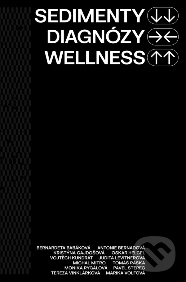 Sedimenty diagnózy wellness - kolektiv autorů