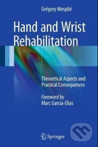 Levně Hand and Wrist Rehabilitation - Grégory Mesplié - kniha z kategorie Medicína