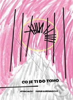 Levně Co je ti do toho - Hana Lundiaková