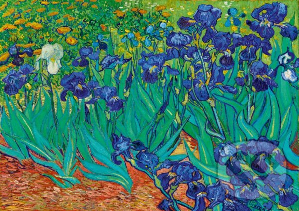 Vincent Van Gogh - Irises, 1889, Bluebird, 2021