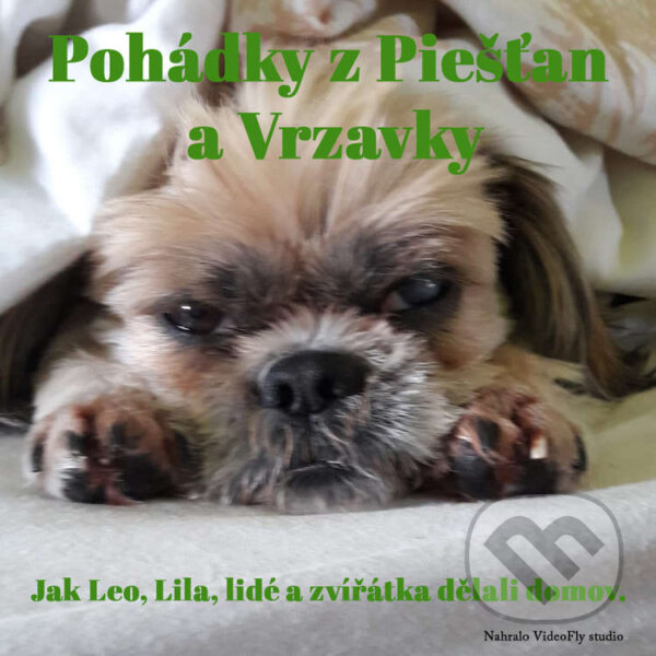 Kniha Pohádky z Piešťan a Vrzavky
