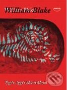 Tygře, tygře, žhavě žhneš - William Blake, Vojtěch Domlátil (ilustrácie), Dokořán, 2010