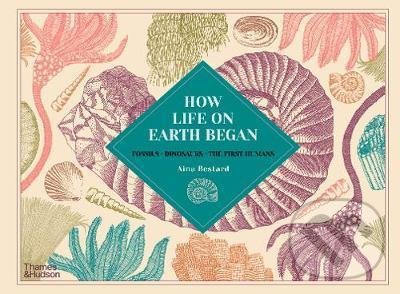 Levně How Life on Earth Began (Fossils * Dinosaurs * The First Humans) - kniha z kategorie Naučné knihy