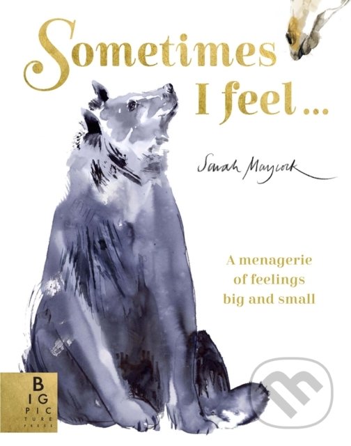 Levně Sometimes I Feel... (A Menagerie of Feelings Big and Small) - kniha z kategorie Rozprávky