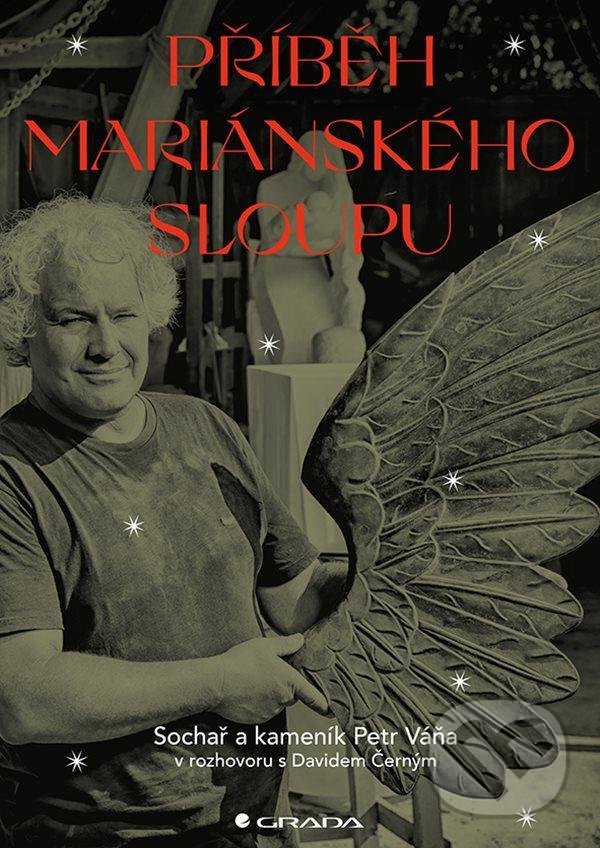 Levně Příběh Mariánského sloupu - David Černý - kniha z kategorie História