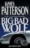 The Big Bad Wolf - James Patterson, Headline Book, 2004