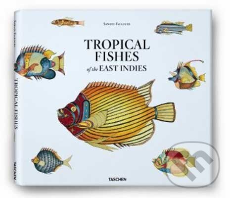 Levně Samuel Fallours: Tropical Fishes of the East Indies - kniha z kategorie Odborné a náučné