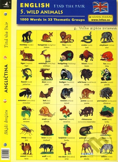 English - Find the Pair 5. (Wild Animals), INFOA