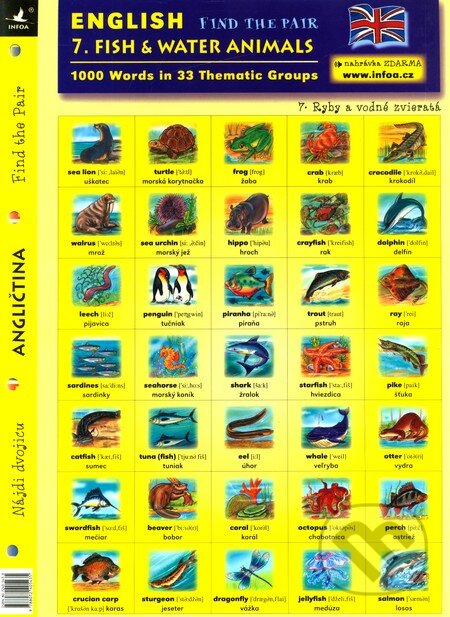 English - Find the Pair 07. (Fish & Water Animals), INFOA