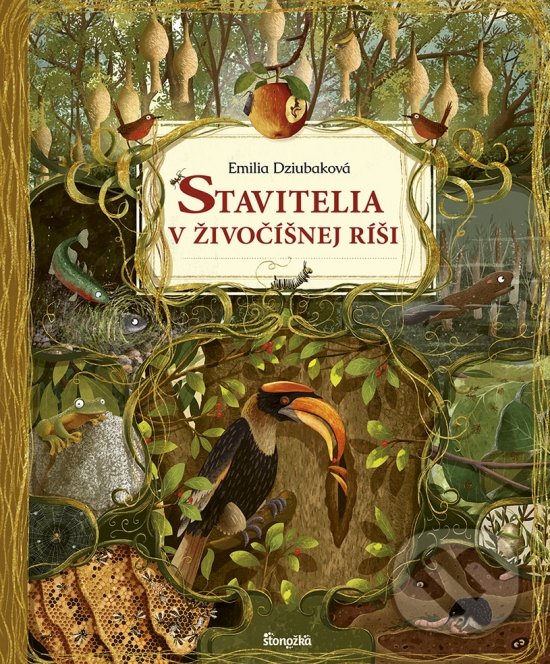 Stavitelia v živočíšnej ríši - Emilia Dziubak, Emilia Dziubak (ilustrátor), Stonožka, 2021