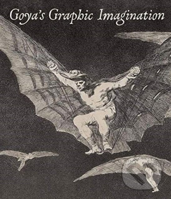 Levně Goya's Graphic Imagination - Mark McDonald, Mercedes Cerón-Peña, Francisco J. R. Chaparro, Jesusa Vega - kniha z kategorie Dejiny umenia