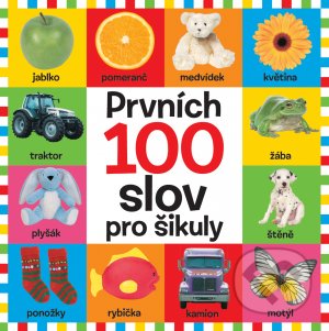 Levně Prvních 100 slov pro šikuly - kniha z kategorie Naučné knihy